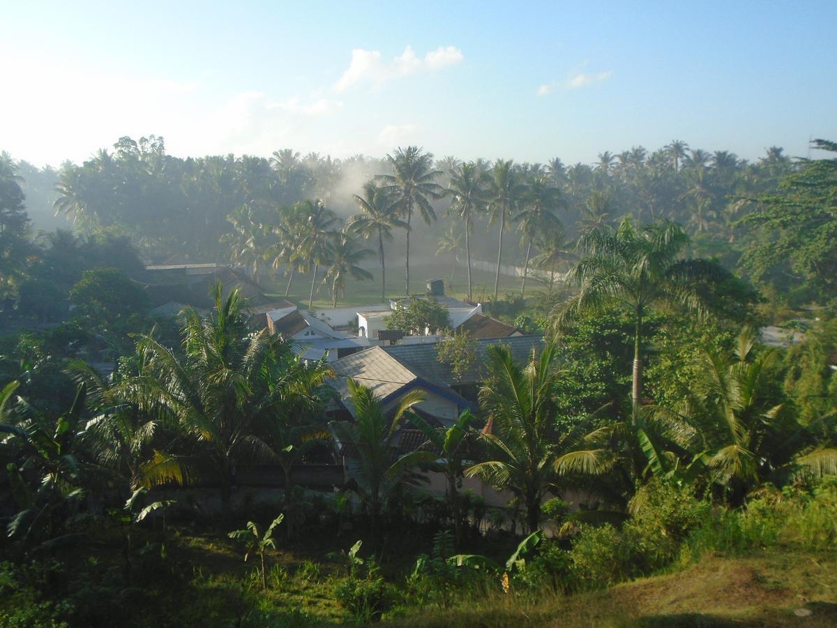 La Casa Homestay سينغيغي المظهر الخارجي الصورة